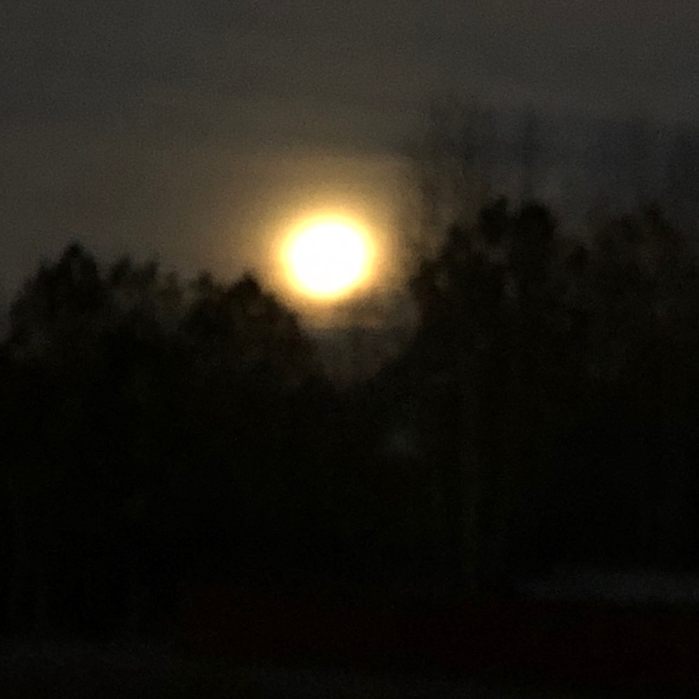 Meet your Posher, Cheryl